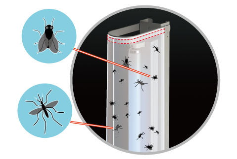 Wide adhesive area sheet