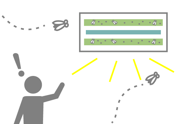 maintenance-insect-light-trap