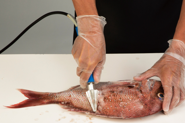 Features of AST-150 1