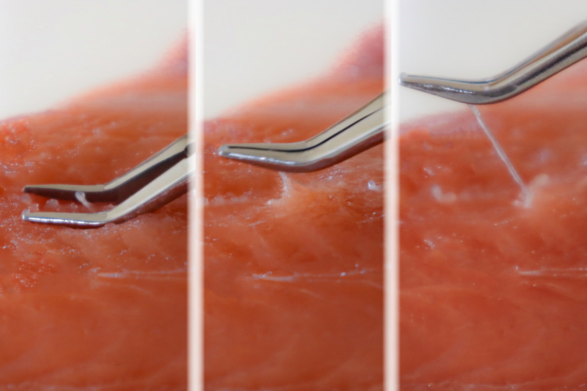 fish-bone-tweezers-3_curved-tip