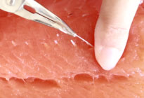 The curved tips let you see and grip bones clearly, allowing for easy removal without damaging the fish meat. This helps maintain the highest product quality.